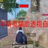 和平精英辅助透视自瞄-狩猎者直装